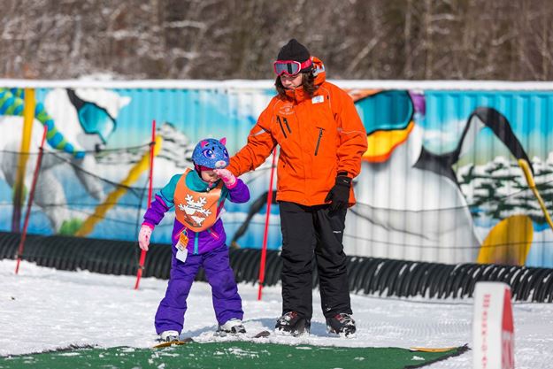 Picture of Penguin Ski Lesson