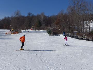 Picture of Private Ski Lesson