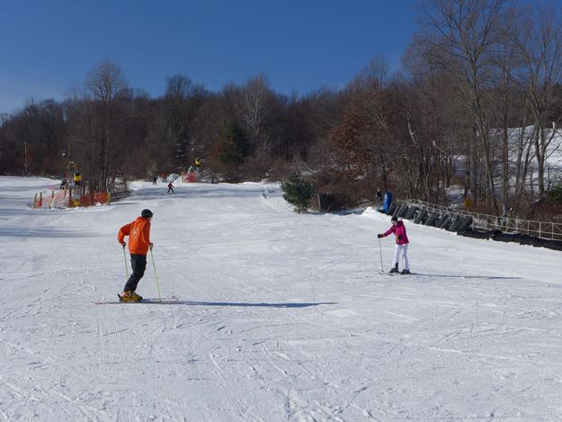 Picture of Private Ski Lesson