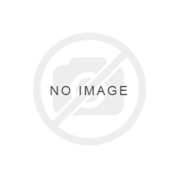 Picture for category Race Ski Lease